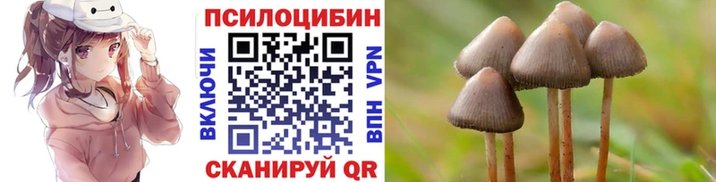 Галлюциногенные грибы MAGIC MUSHROOMS Углегорск