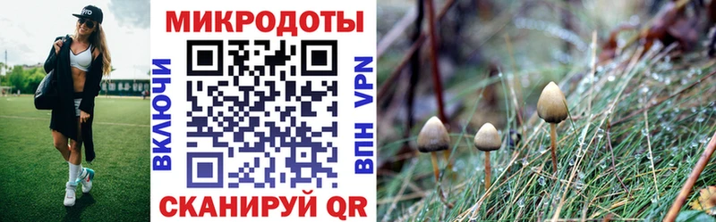 Галлюциногенные грибы мицелий Углегорск